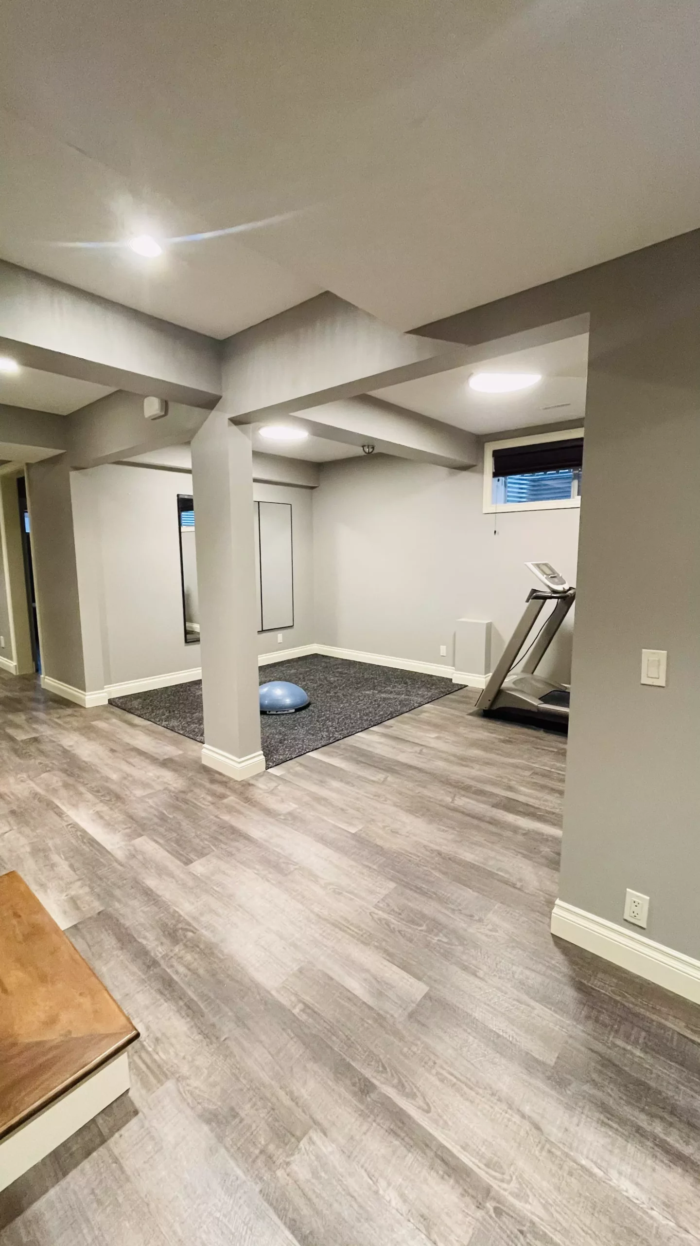 Custom Basement
